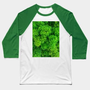 Foxtail fern (Sprenger's asparagus) green plant texture background Baseball T-Shirt